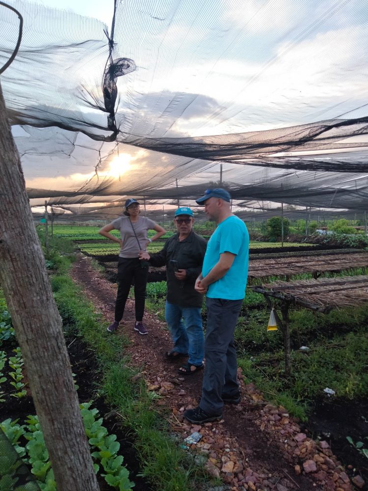 Field visit to a vegetable farm on peat