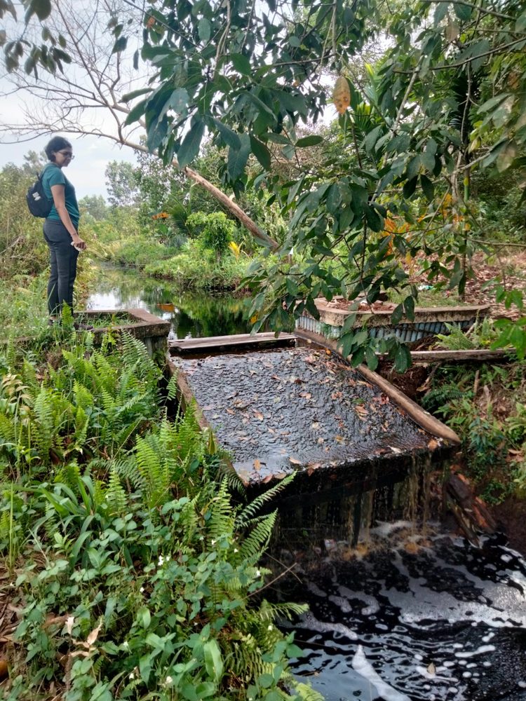 Inspecting a canal block in a peatland