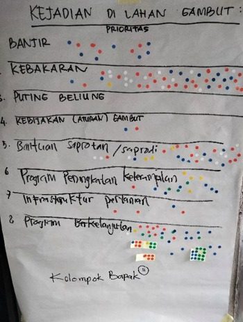 Community priority-ranking exercise on peatland events